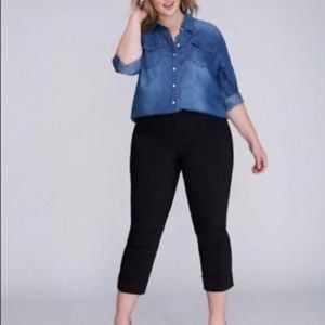 EUC Lane Bryant Lena the Modernist Ankle Pant